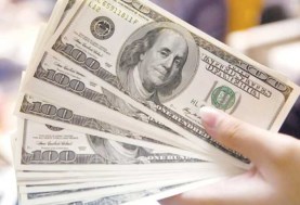 أسعار الدولار اليوم 