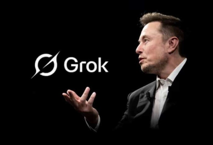 Grok Grok