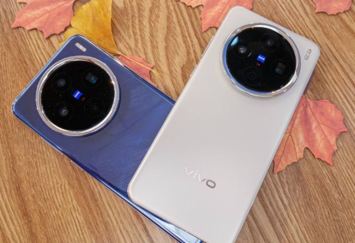 Vivo X300 Vivo X300