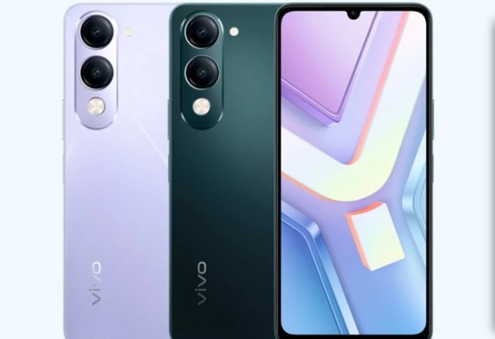 Vivo Vivo