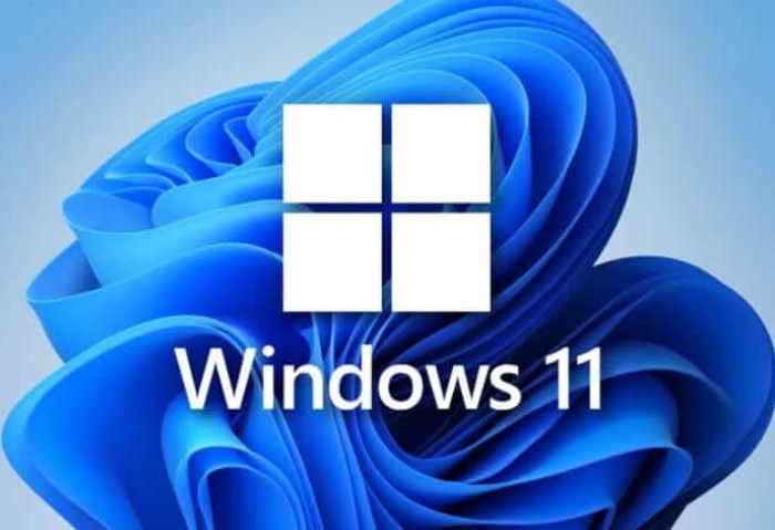 ويندوز 11