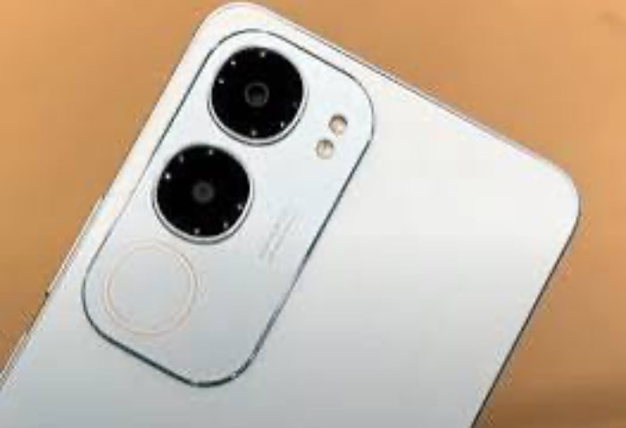 فيفو تطلق هاتف Vivo Y19s ببطارية ضخمة وتصميم مقاوم للماء