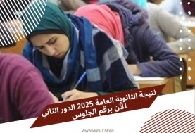 رابط نتيجة الثانوية العامة الدور الثاني 2025.. خطوات الاستعلام