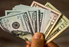 سعر الدولار اليوم 