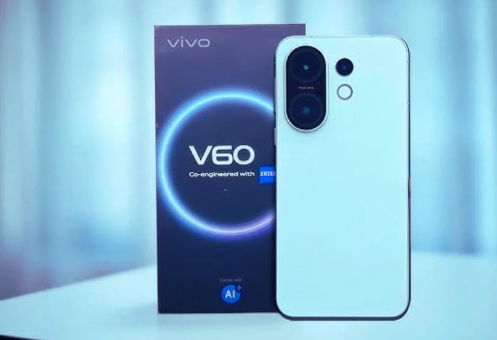 vivo V60