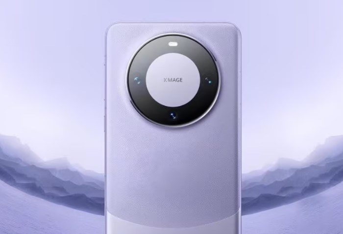 Mate 80