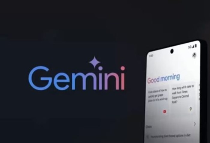 Gemini Gemini