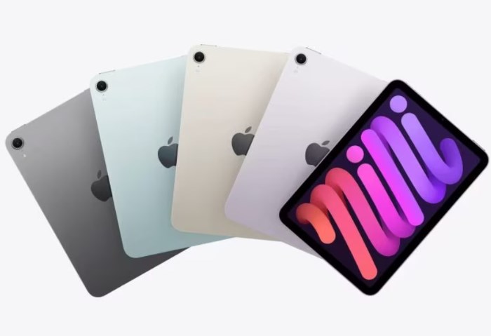 iPad Mini 8