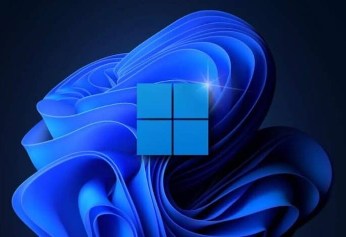 ويندوز 11 ويندوز 11