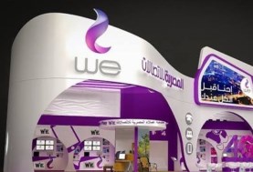 الشركة المصرية