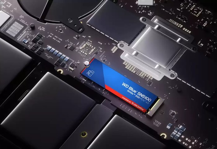 SanDisk