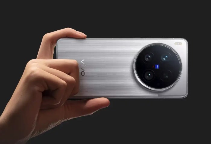 vivo X300
