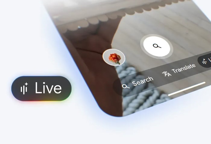 Search Live