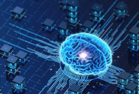 الذكاء العضوي OI