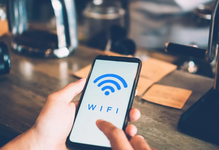 شبكة الواي فاي