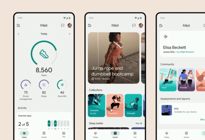 تطبيق فيتبيت