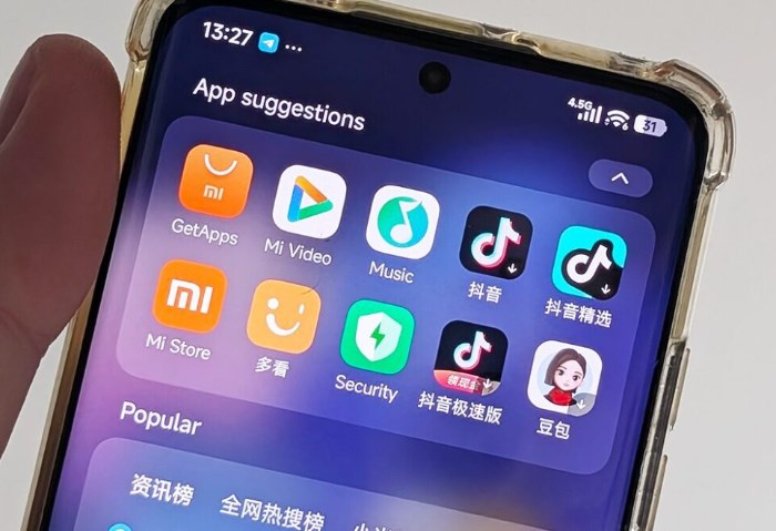 Xiaomi