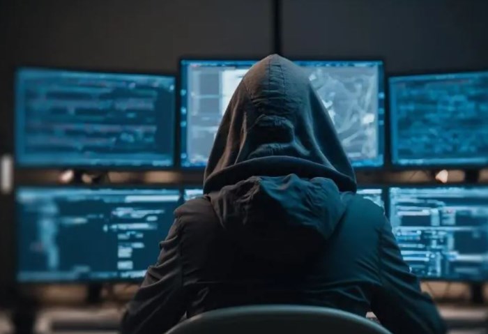 المخاطر السيبرانية