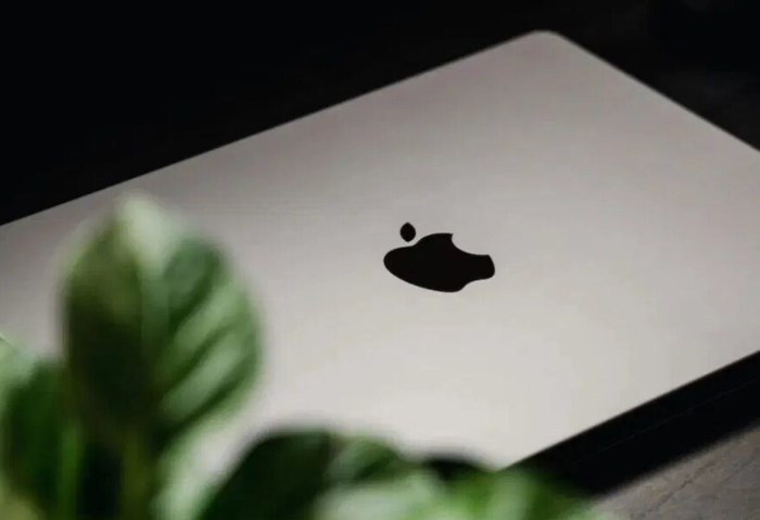 ماك بوك برو