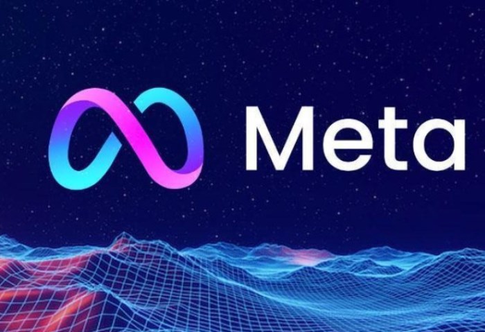 شركة ميتا