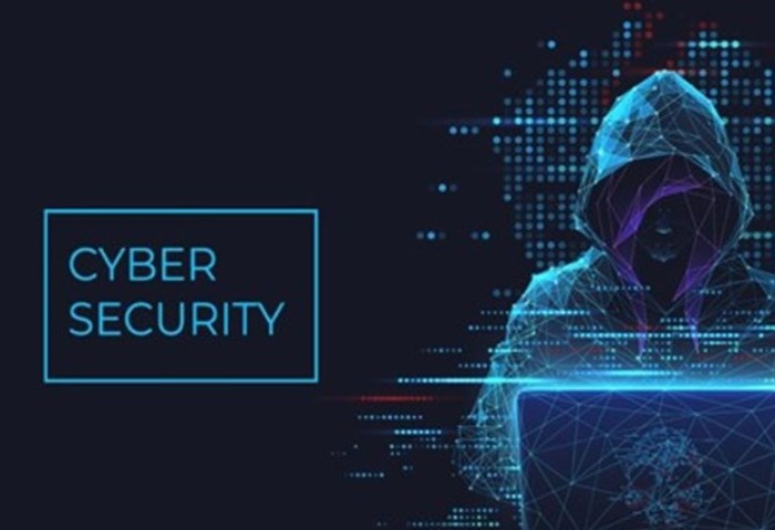 الأمن السيبراني