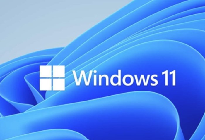 ويندوز 11