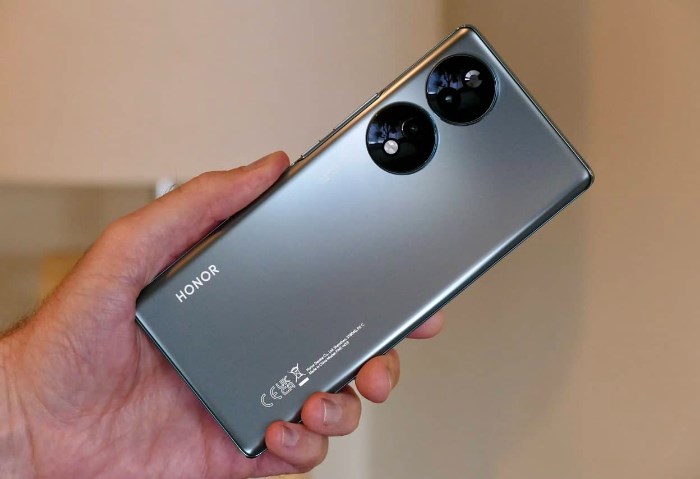 HONOR 80 Pro