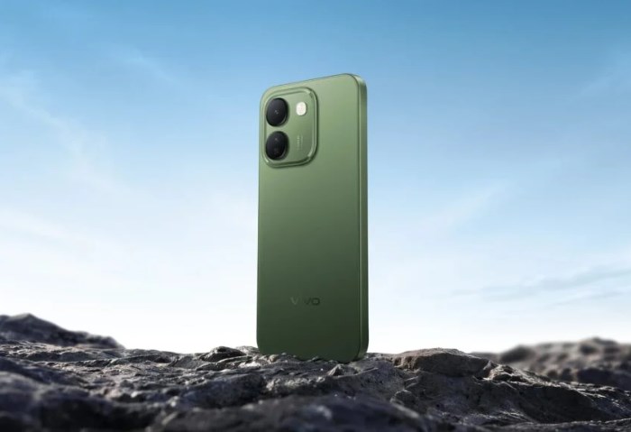 Vivo S2 FE