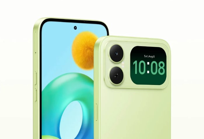 Honor Play20C