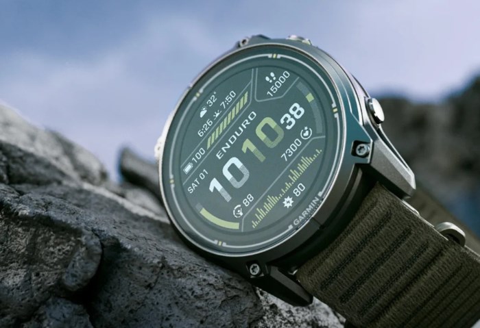 Garmin 