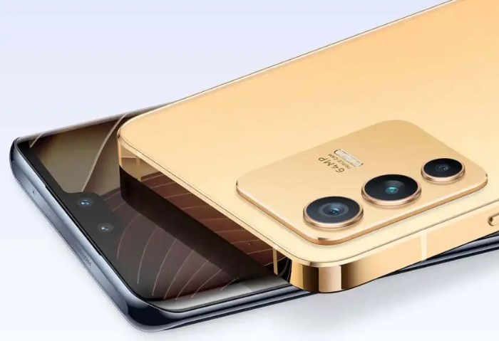 vivo V23