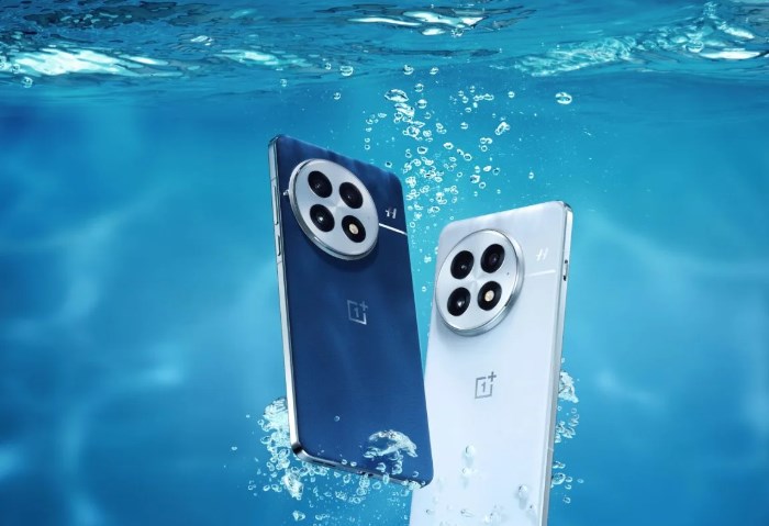 OnePlus 13
