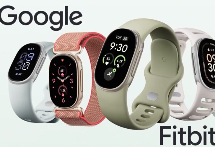 Google Fitbit Edge