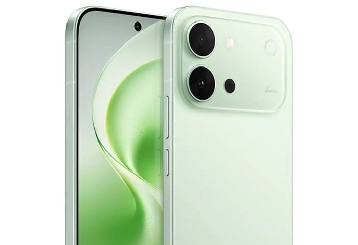 Vivo S70