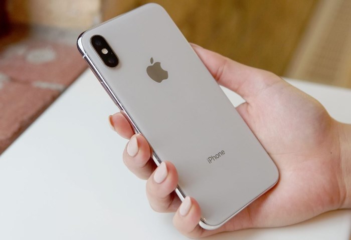 iPhone X