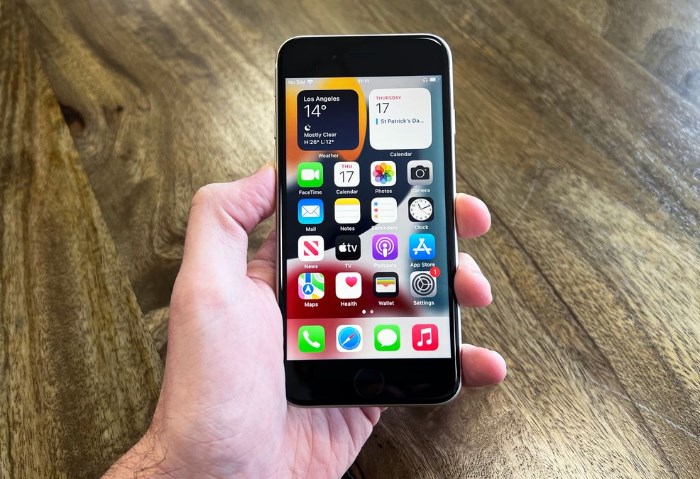  iPhone SE (2022)