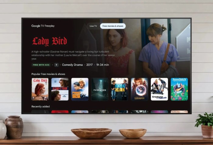 Google TV