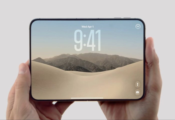  iPhone Duo