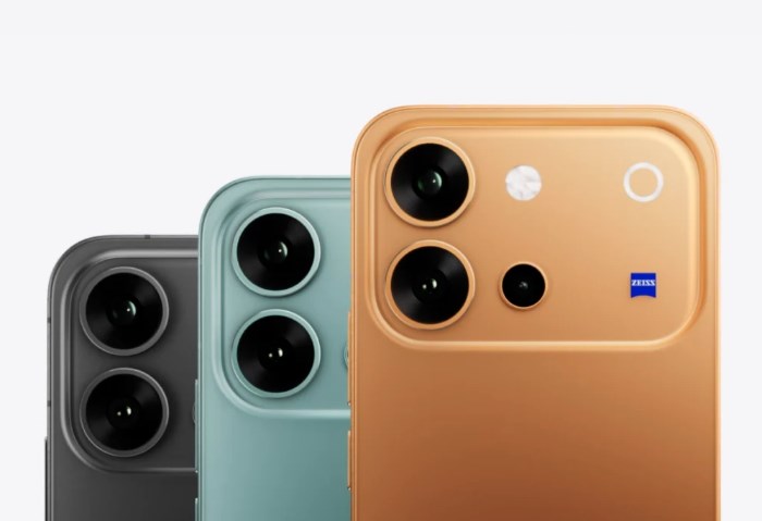 Vivo V80