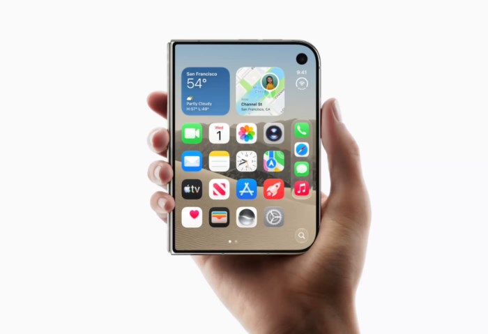 iPhone Duo
