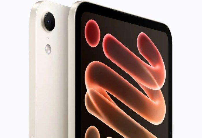 iPad MIni