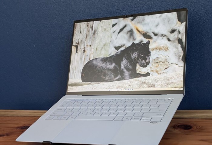 أسوس إكسبيرت بوك ألترا