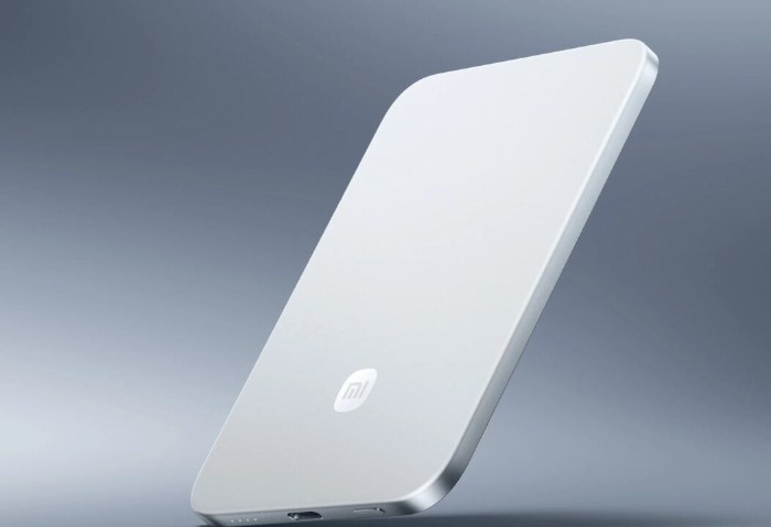 باور بانك شاومي 