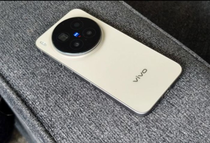 vivo X300 Pro