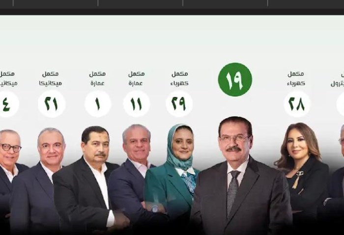 قائمة المهندس هاني ضاحي