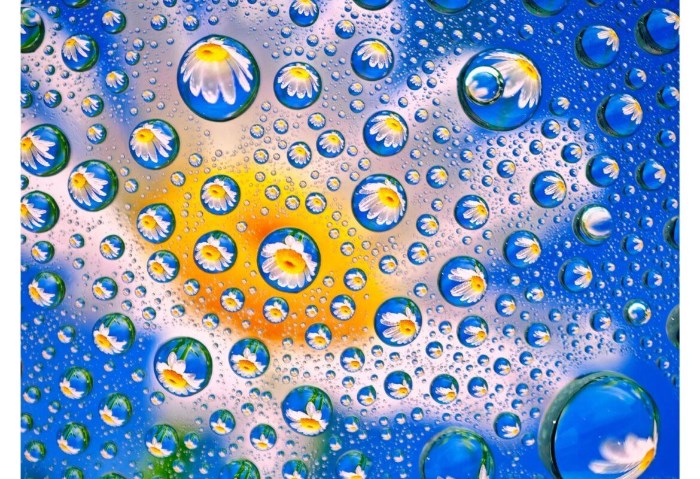 عينة كاميرا Honor Magic 8 RSR