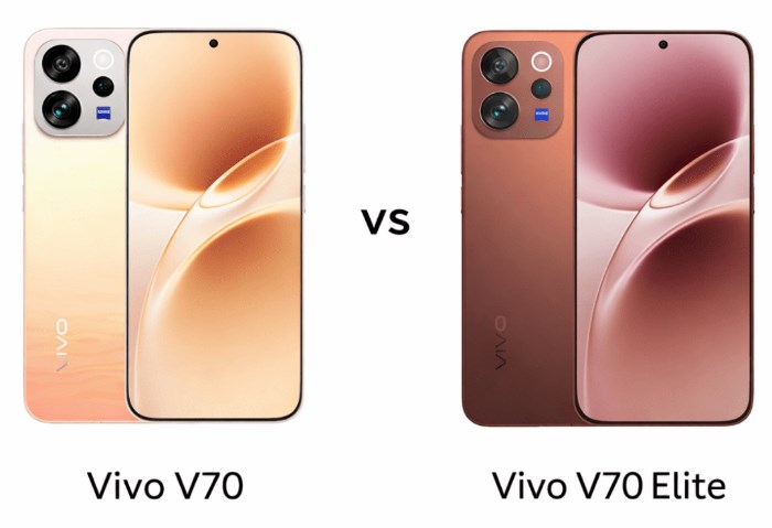 Vivo V70 وVivo V70 Elite