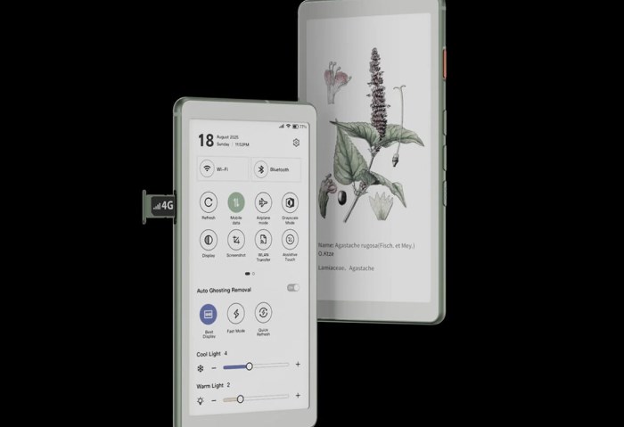 قارئ إلكتروني