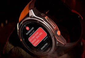 غارمين إنريتش