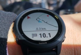 Garmin